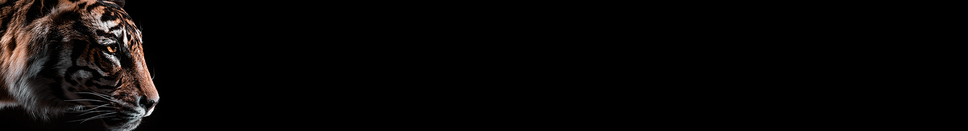 Innocabs