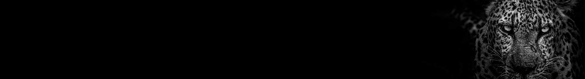 Innocabs