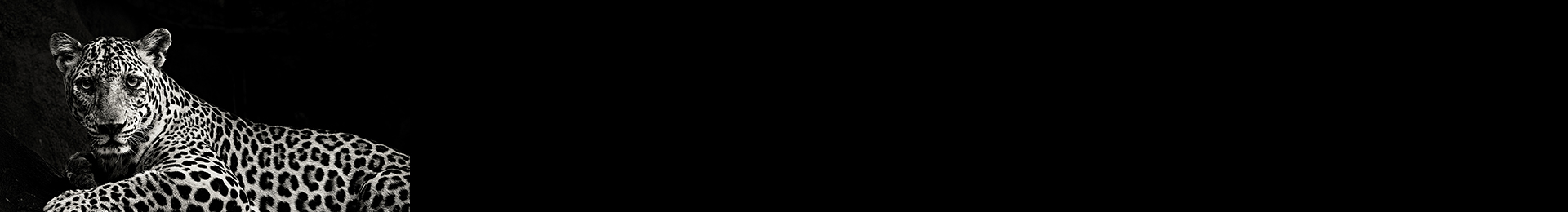 Innocabs